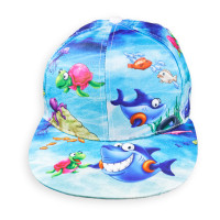 KAi der Hai Schildmütze Kai Landschaft KAi der Hai Schildmütze Kai Landschaft